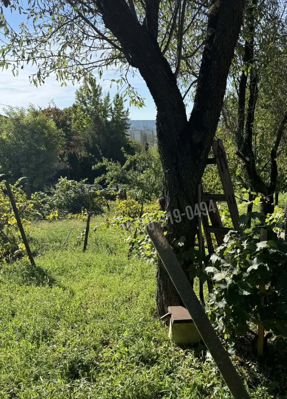 Pest megye - Budaörs