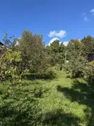 Pest megye - Budaörs