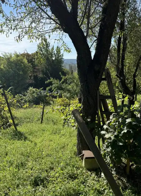 Eladó telek, Budaörs 1484 m² 129 M Ft